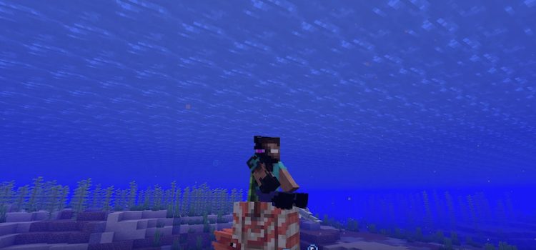 زین‌ها را می‌توان روی ناتیلوس قرار داد تا بازیکنان بتوانند سوار آن شوند.