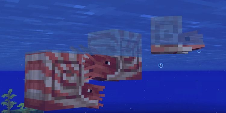 ناتیلوس را می‌توان با استفاده از هر ماهی در بازی ماینکرفت پرورش داد.