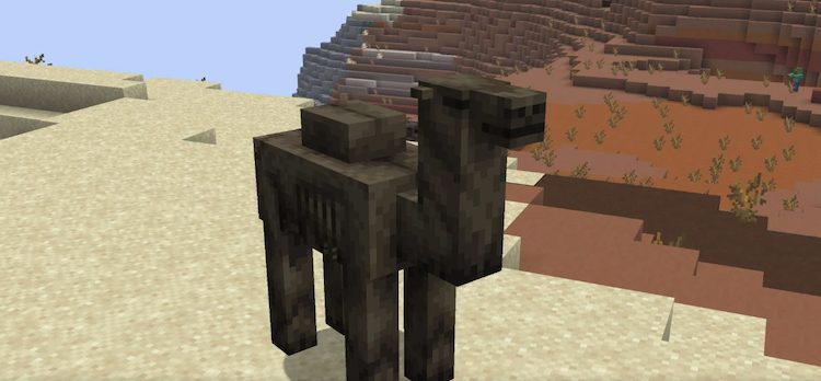 کمل هاسک گونه‌ی نامیرای شتر معمولی است.