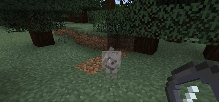 ماد ماینکرفت Friends Forever به شما امکان می‌دهد دنیا را با روح حیوان خانگی‌تان کشف کنید.