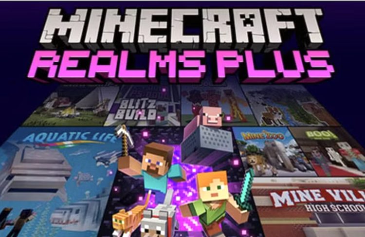 اشتراک رلمز ماینکرفت یک روش ایمن برای ساخت سرور محسوب میشود.