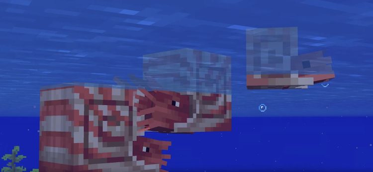 ناتیلوسها مابهای قابل سوار شدن در زیر آبهای بازی ماینکرفت هستند.