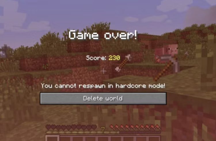 حالت هاردکور انحصاری نسخه جاوا ماینکرفت است.