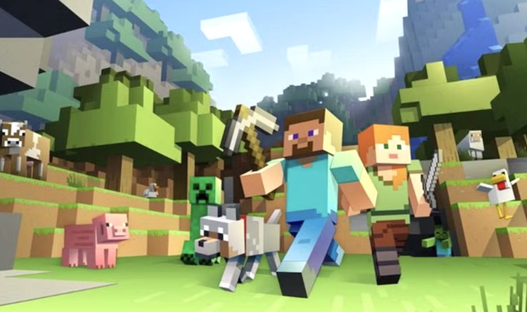 ماینکرفت مدهای متنوع و دنیای بزرگی دارد.