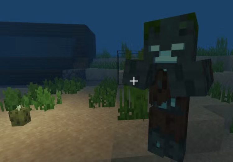 سی پیکل‌ها در زیر آب‌های ماینکرفت می‌توانند خوب عمل کنند.