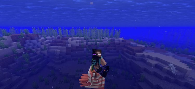 بایومهای اقیانوس سرد در بازی ماینکرفت بیشترین شانس اسپاون شدن ناتیلوسها را دارند.