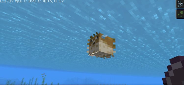 ماهی بادکنکی در حالت دشمن میتواند افکت سمی روی بازیکنان ماینکرفت اعمال کند.