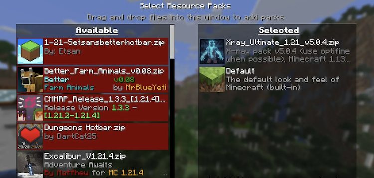 برای دریافت X-ray در ماینکرفت 1.21.11، ریسورس پک آن را نصب کنید.