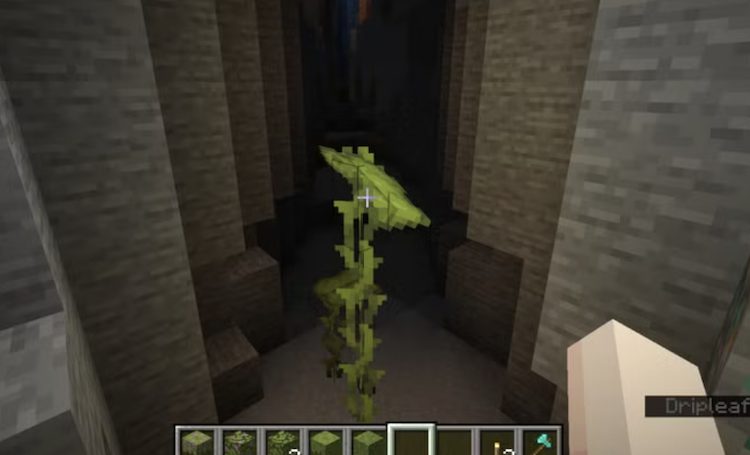 دریپ لیف بزرگ در بازی ماینکرفت