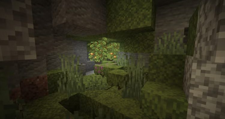 آزالیا در بازی ماینکرفت را میتوانید در لاش کیوها پیدا کنید.