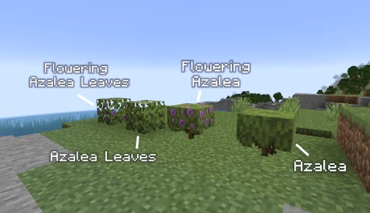 انواع مختلفی از بلوک ماس در بازی ماینکرفت وجود دارند.