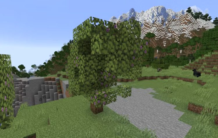 میتوانید به کمک بون میل بلوک آزالیا را رشد دهید.