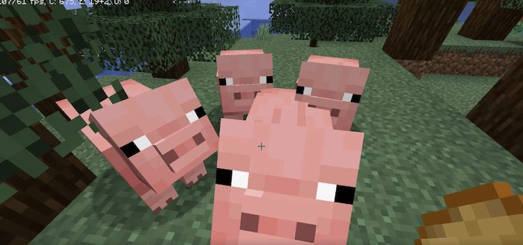 نسخه جاوا ماینکرفت دارای محدودیت تعداد ماب در هر دنیای بازی و هر بازیکن است.