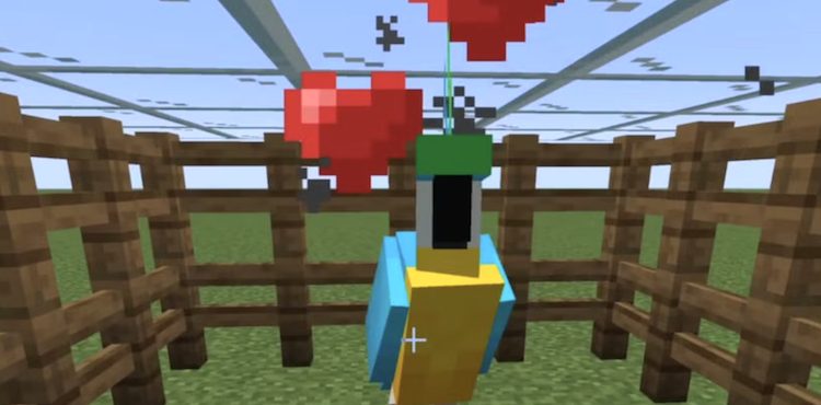 طوطیها را در ماینکرفت میتوان بوسیله دانه اهلی کرد.