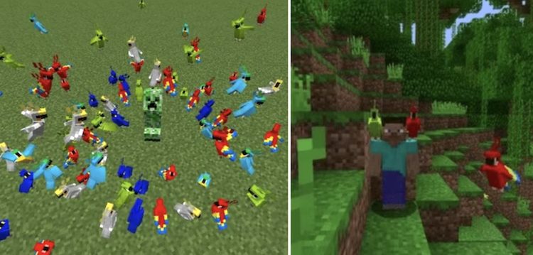 فقط به کمک اسپاون اگ در ماینکرفت میتوان طوطیها را اسپاون کرد.