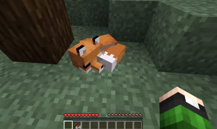 روباه در بازی ماینکرفت