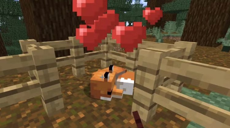 حالت عشق در روباه