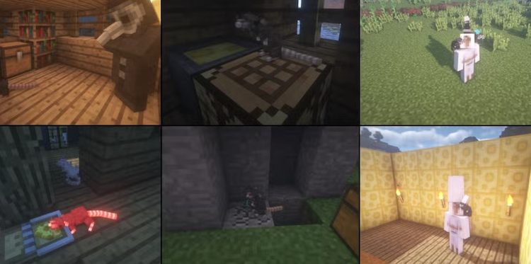 موشها با این ماد راه خود را به بازی ماینکرفت باز میکنند.