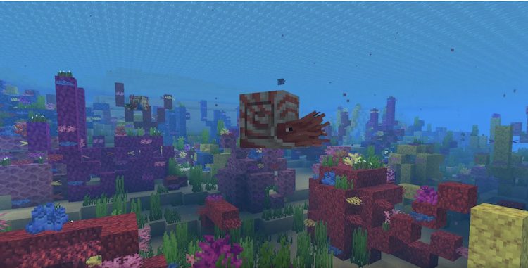 ناتیلوس در بایوم وارم اوشن بازی ماینکرفت