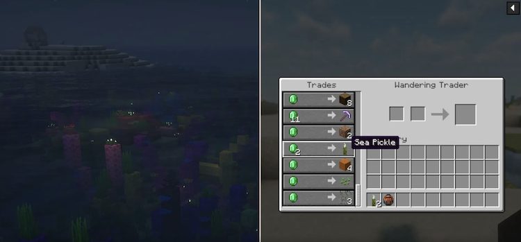 خیارهای دریایی را میتوان در اقیانوسهای گرم و از واندرینگ تریدرهای بازی ماینکرفت پیدا کرد.