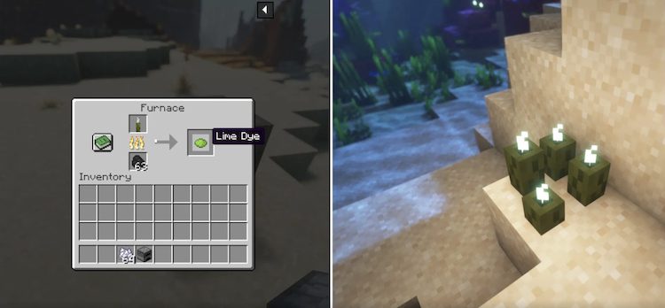 سی پیکِل یا همان خیار دریایی میتواند به عنوان چراغ تزئینی زیر آب و برای ایجاد رنگ آهک استفاده شود.