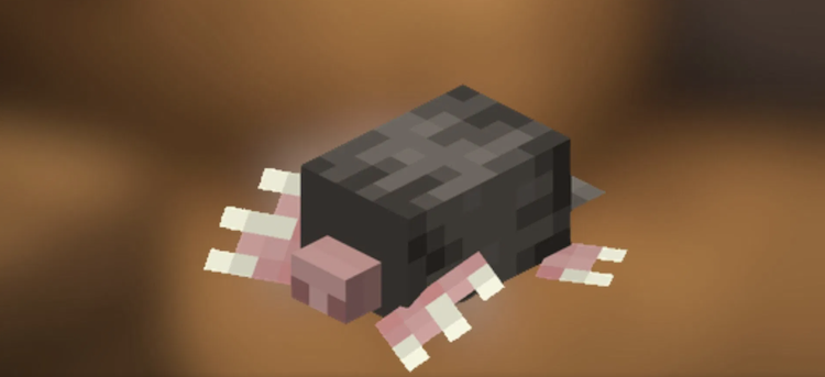 حضور یک موش کور در بازی ماینکرفت عالی خواهد بود زیرا میتواند به بازیکنان در فرآیند خستهکننده حفاری برای استخراج معدن کمک کند.