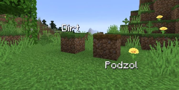 برای برداشت بلوک پادزول در بازی ماینکرفت از ابزاری که دارای سیلک تاچ است، استفاده کنید.