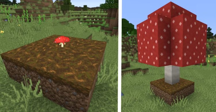 به کمک پادزول میتوان به قارچ غول پیکر در بازی ماینکرفت دست پیدا کرد.