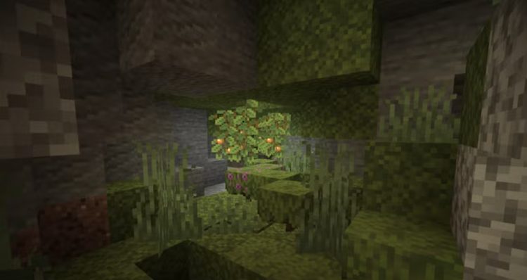 میتوانید آزالیاها را در بایومهای لاش کیو بازی ماینکرفت پیدا کنید.