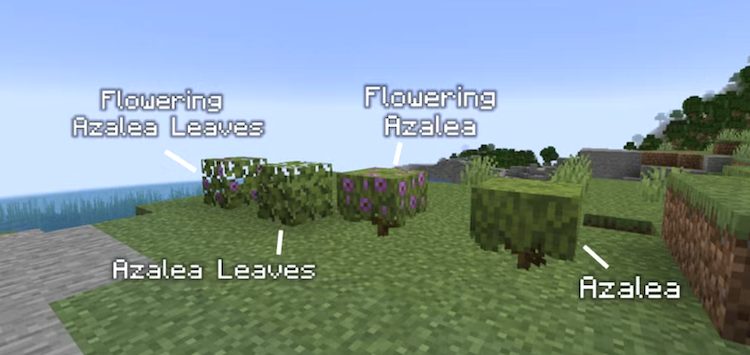 آزالیاها در بازی ماینکرفت انواع مختلفی دارند.