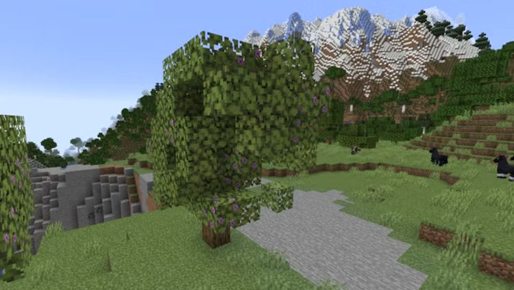 بلوکهای آزالیا در بازی ماینکرفت بصورت طبیعی جنریت نمیشوند.