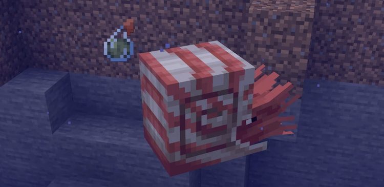 ناتیلوس تحت تأثیر سم در بازی ماینکرفت قرار نمیگیرد.