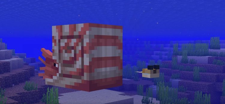 ناتیلوس گاهی اوقات به ماهی بادکنکی در بازی ماینکرفت حمله میکند.