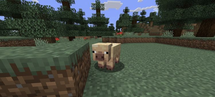 اولین بهروزرسانی ماینکرفت برای سال ۲۰۲۵، تغییراتی را در گیاهان و جانوران بازی معرفی کرد.