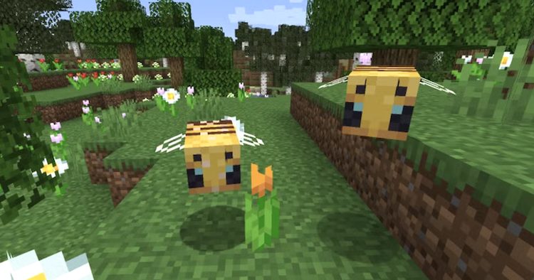 جالب است بدانید که در بازی ماینکرفت میشود زنبورها را مانند دیگر مابها به کمک لید هدایت کرد.