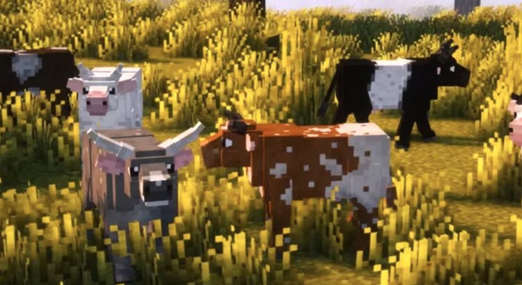 تکسچر پک Cozy Critters ظاهر گاوها را در بازی ماینکرفت جذاب میکند.
