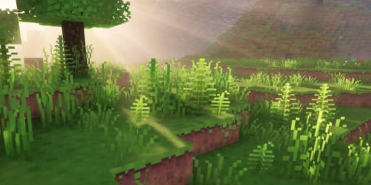 این تکسچر پک روح تازهای به بازی ماینکرفت شما میبخشد.