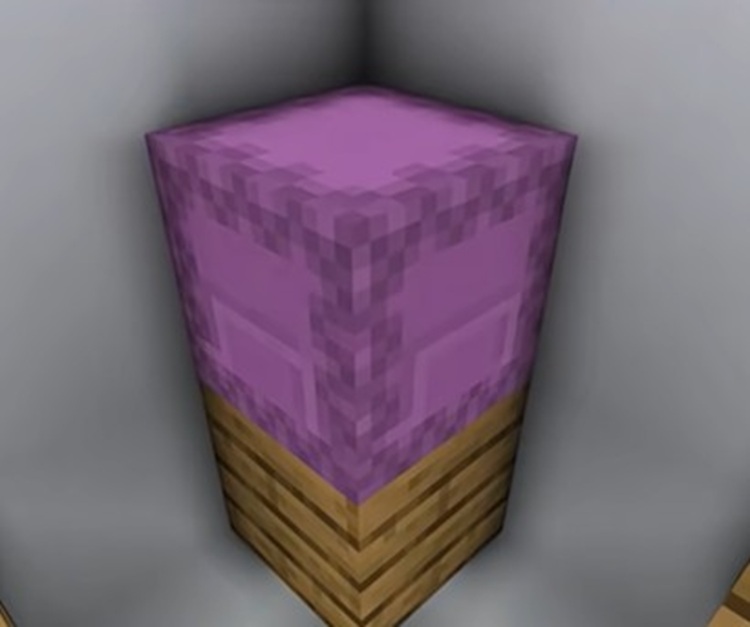 شما می‌توانید همه چیز خود را در ماینکرفت از دید دیگران پنهان کنید!