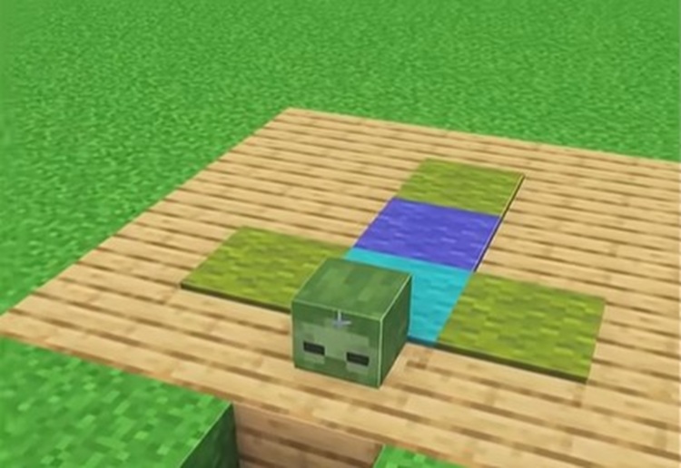 شما با انداختن این فرش در دنیای ماینکرفت خود، میتوانید قدرت را به همه نشان دهید