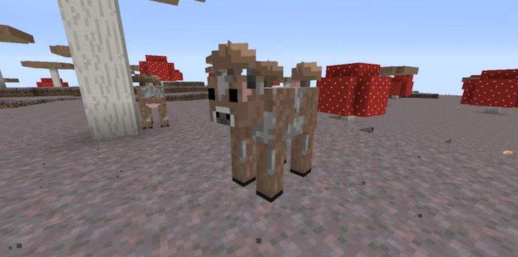 با بریک کردن قارچها در بازی ماینکرفت گاوها بیرون میآیند.