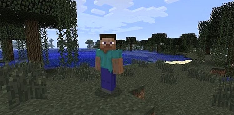 نمایی از استیو در بازی ماینکرفت