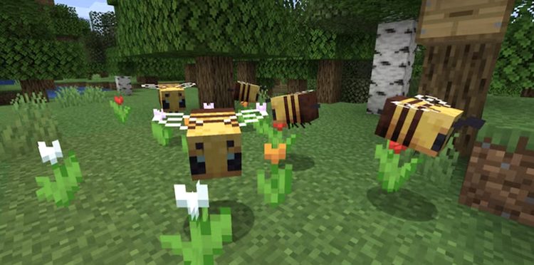 زنبورها در بازی ماینکرفت
