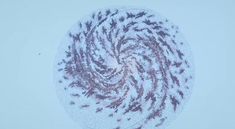 آخرین مرحله این پروژه در بازی ماینکرفت شامل ساخت کهکشانهای مختلف بود.