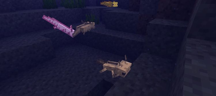 جدیدترین تصویر از ماینکرفت که گونههای نوزادی از موجودات آبزی محبوب مانند لاکپشتها و اکسولوتلها را معرفی میکند.