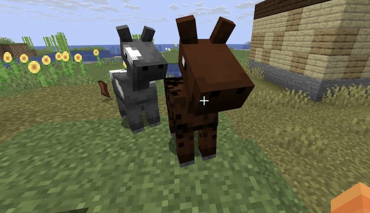 اسبهای نوزاد در بازی ماینکرفت