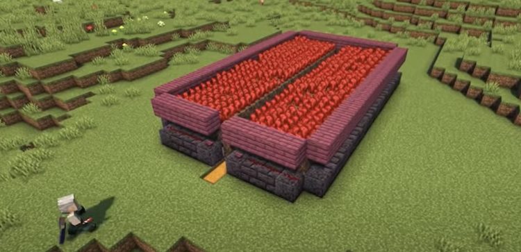 فارم ندروارت در بازی ماینکرفت میتواند منابع لازم برای ساخت معجون را در اختیار شما قرار دهد.