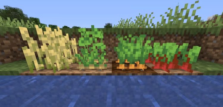 فارم گندم در بازی میتواند منابع غذایی شما را تهیه کند.