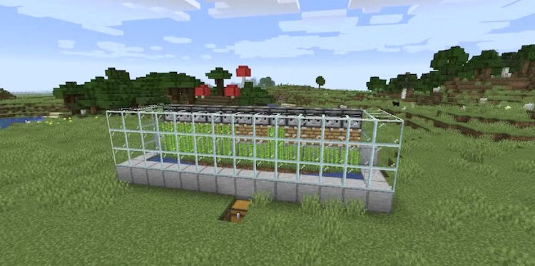 فارم نیشکر در بازی ماینکرفت