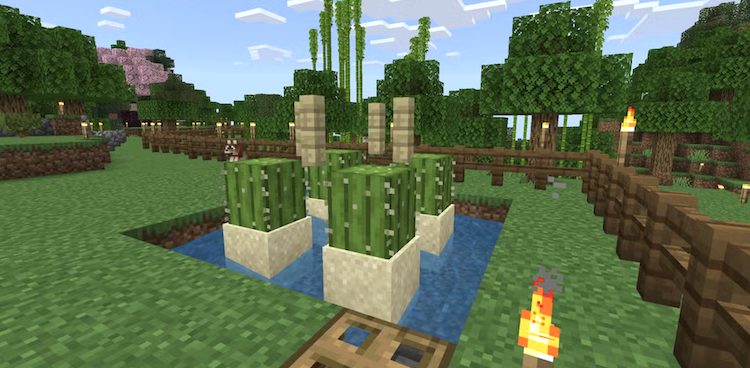 فارم کاکتوس در بازی ماینکرفت را میتوان به سادگی ساخت.