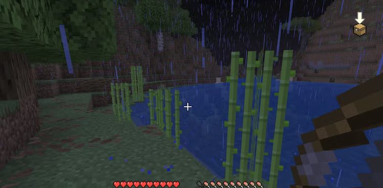 نیشکر در بازی ماینکرفت